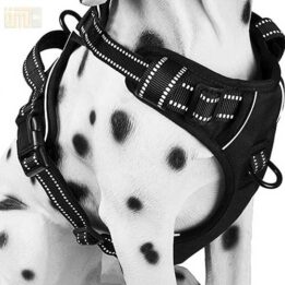 Pet Factory wholesale Amazon Ebay Wish hot large mesh dog harness 109-0001 gmtpetproducts.com