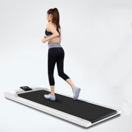Homeuse Indoor Gym Equipment Running Machine Simple Folding Treadmill gmtpetproducts.com