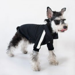 Sport Pet Clothes Custom Fashion Dog BomberJacket Blank Dog Clothes gmtpetproducts.com