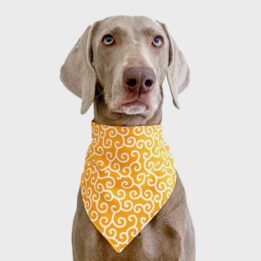 2020 New Custom Summer Triangle Bandana Personalized Pet Accessories Cat Dog Triangle Scarf gmtpetproducts.com