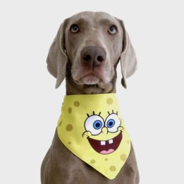 New Product Yellow Cartoon Cute Duck triangle scarf Pet Saliva Towel gmtpetproducts.com