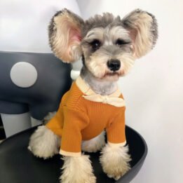 Dog Sweater Bowknot Plain Knit Sweater Cute Cat Winter Clothing Pet Clothes Pet Accessories gmtpetproducts.com