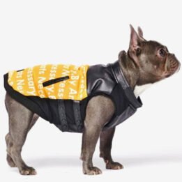 Pet Dog Clothes Vest Padded Dog Jacket Cotton Clothing for Winter gmtpetproducts.com