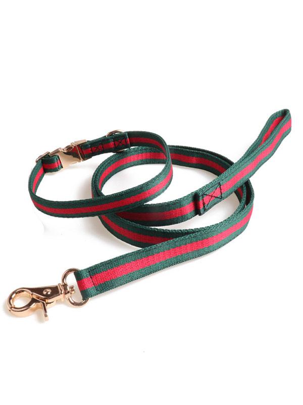 Factory Wholesale Pet Collar Nylon Webbing Dog Leash Rope Dog Collar Heavy Duty Dog Leash With Full Metal Buckle 06-1608 gmtpetproducts.com