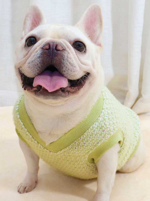 GMTPET Thickened autumn and winter fat dog short body bulldog pug dog lady plush rich rich French fighting clothes v-neck vest vest 107-222012 gmtpetproducts.com