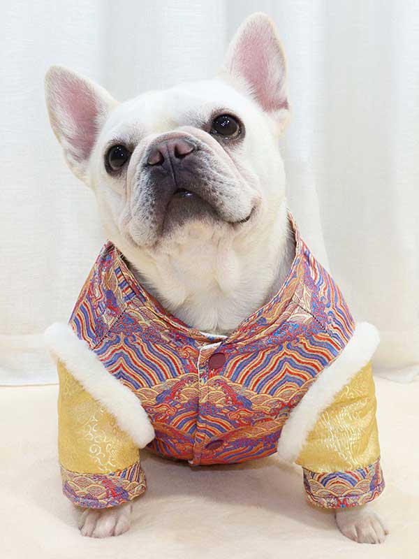 GMTPET French fighting Chinese New Year’s clothing New Year’s clothing Tang suit Chinese style fat dog bulldog dog clothes thickened rabbit fur jacket cotton coat 107-222013 gmtpetproducts.com
