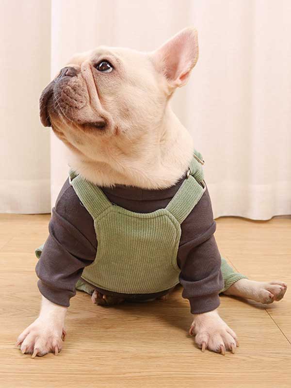 GMTPET French fighting clothes high elastic comfortable solid color plus velvet thick bottoming shirt T-shirt bulldog dog clothes 107-222016 gmtpetproducts.com