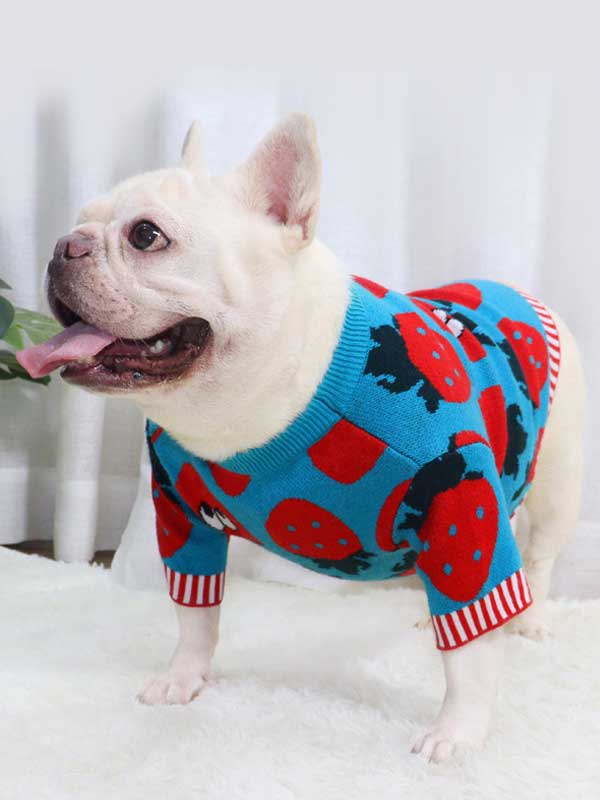 New autumn and winter dog clothes bulldog sweater strawberry cartoon short body fat dog method fighting autumn sweater 107-222041 gmtpetproducts.com