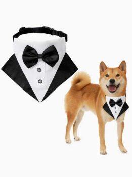 Wedding suit pet drool towel dog collar pet triangle towel pet bow tie wedding suit triangle towel 118-37007 gmtpetproducts.com