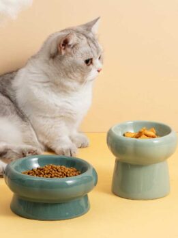 Tigela de cerâmica para gato tigela para comida de gato tigela para beber cachorro 123-12011 gmtpetproducts.com