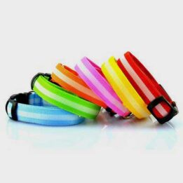 Pet Dog Collar: Led Safety Light-up Flashing Glow	 06-1206 gmtpetproducts.com