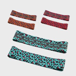 Custom New Product Leopard Squat With Non-slip Latex Fabric Resistance Bands gmtpetproducts.com