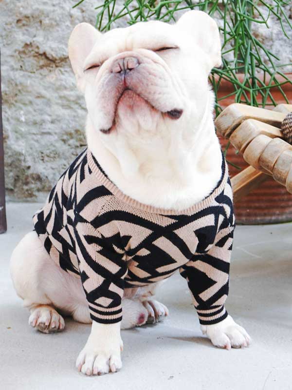 Оптовый поставщик одежды для домашних животных Роскошный вязаный свитер для собак Теплая зимняя одежда для собак 06-1392 gmtpetproducts.com