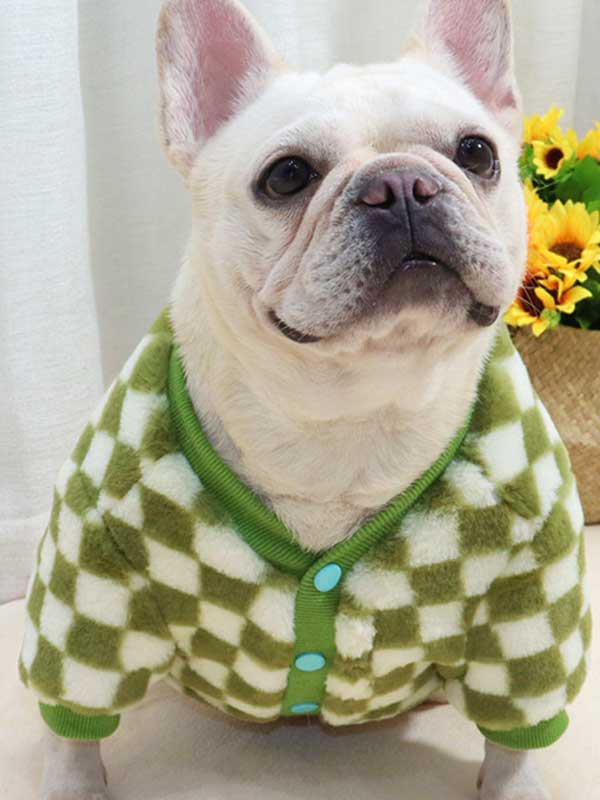 GMTPET Green and white checkerboard fat dog bulldog pug dog French fighting winter clothes plus velvet thick cardigan plush sweater 107-222039 gmtpetproducts.com